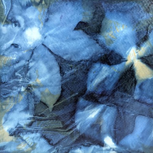 Clematis Blues