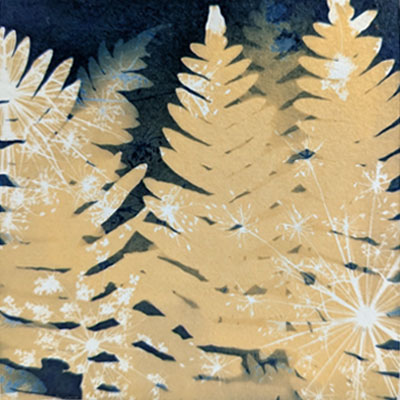Fern Party