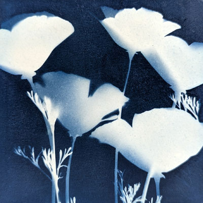 Poppy Play